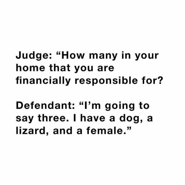 Funniest Stuff People Overheard In Courthouses