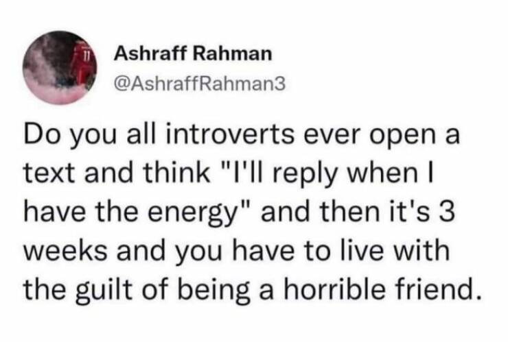 Introvert Life In A Memeshell…