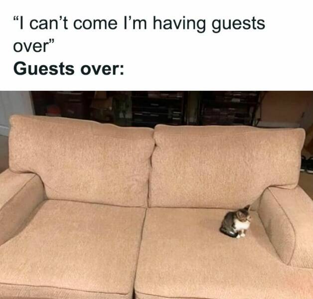 Introvert Life In A Memeshell…