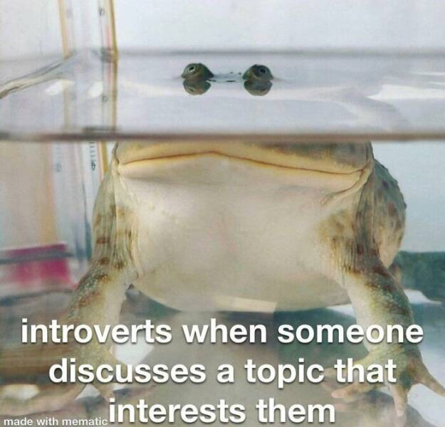 Introvert Life In A Memeshell…