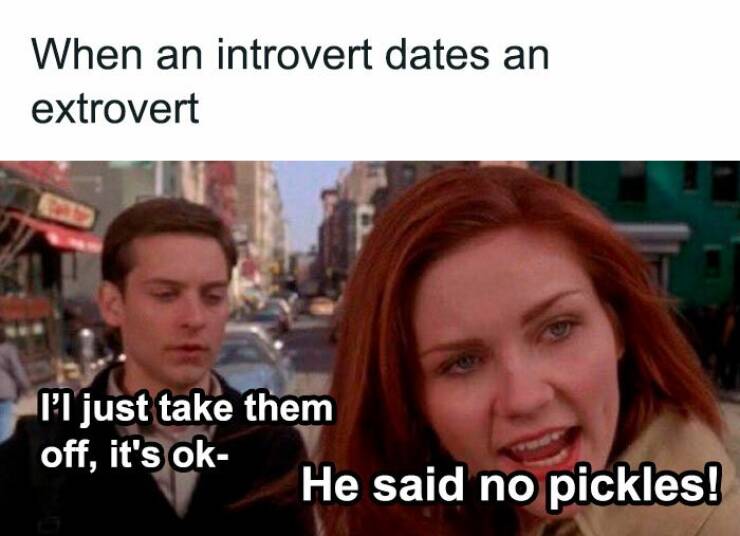 Introvert Life In A Memeshell…