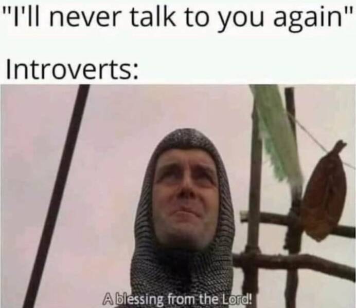 Introvert Life In A Memeshell…