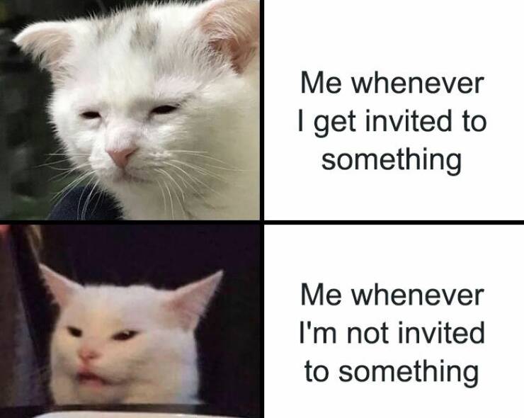 Introvert Life In A Memeshell…