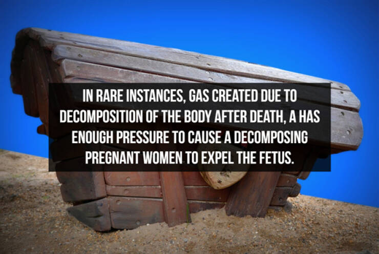 These Facts Are Really Odd...