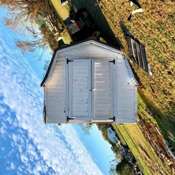 Perfectly Timed Shots