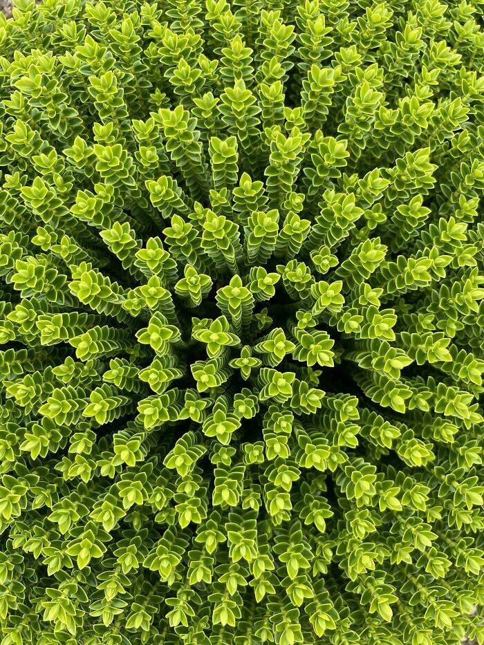 Perfectly Timed Shots