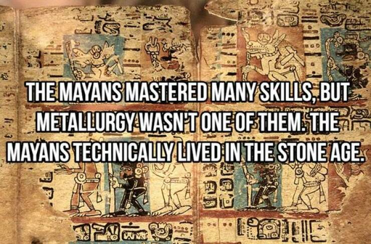 A Look Into The Ancient World Of Maya