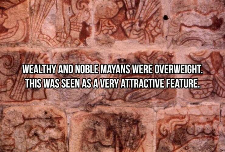 A Look Into The Ancient World Of Maya