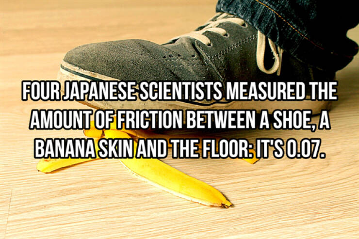 Science Facts Are Awesome!