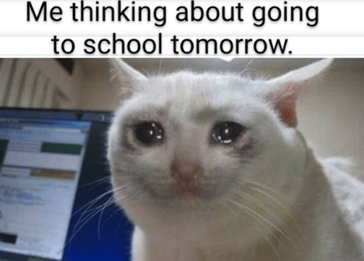 Teachers Know The Pain Of These Memes…