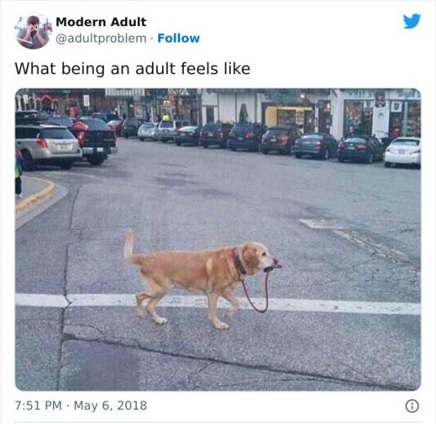 Adulting Be Like…