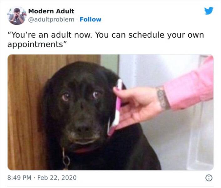 Adulting Be Like…