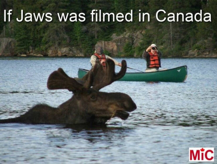 Meanwhile In Canada…