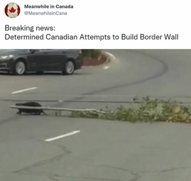 Meanwhile In Canada…