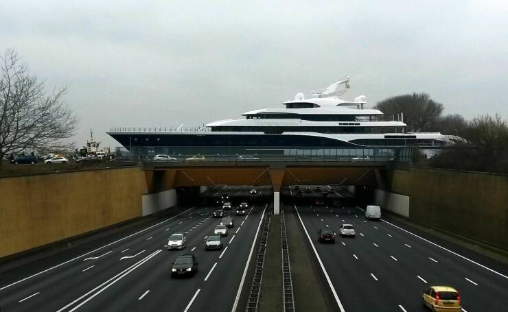 Daily Picdump