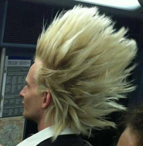 Daily Picdump