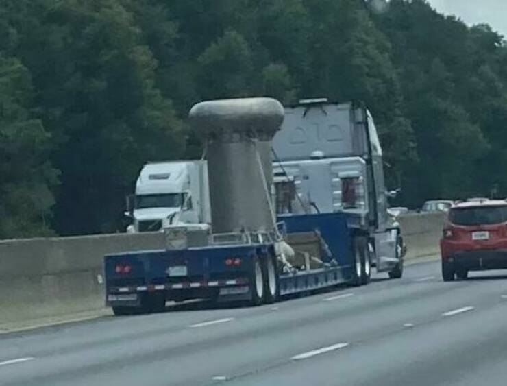What Is That Thing?!
