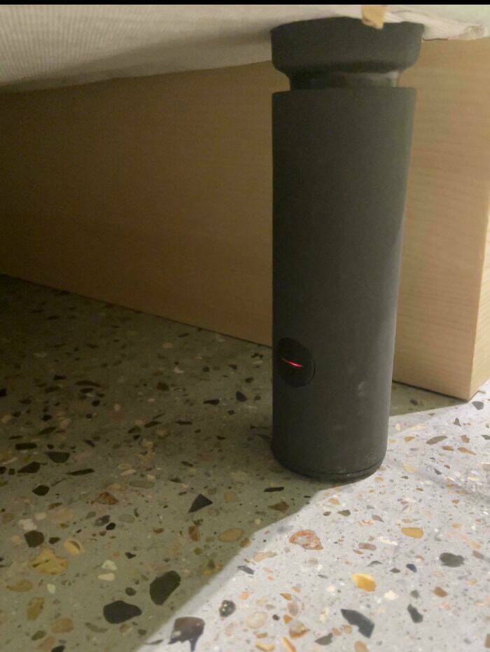 What Is That Thing?!