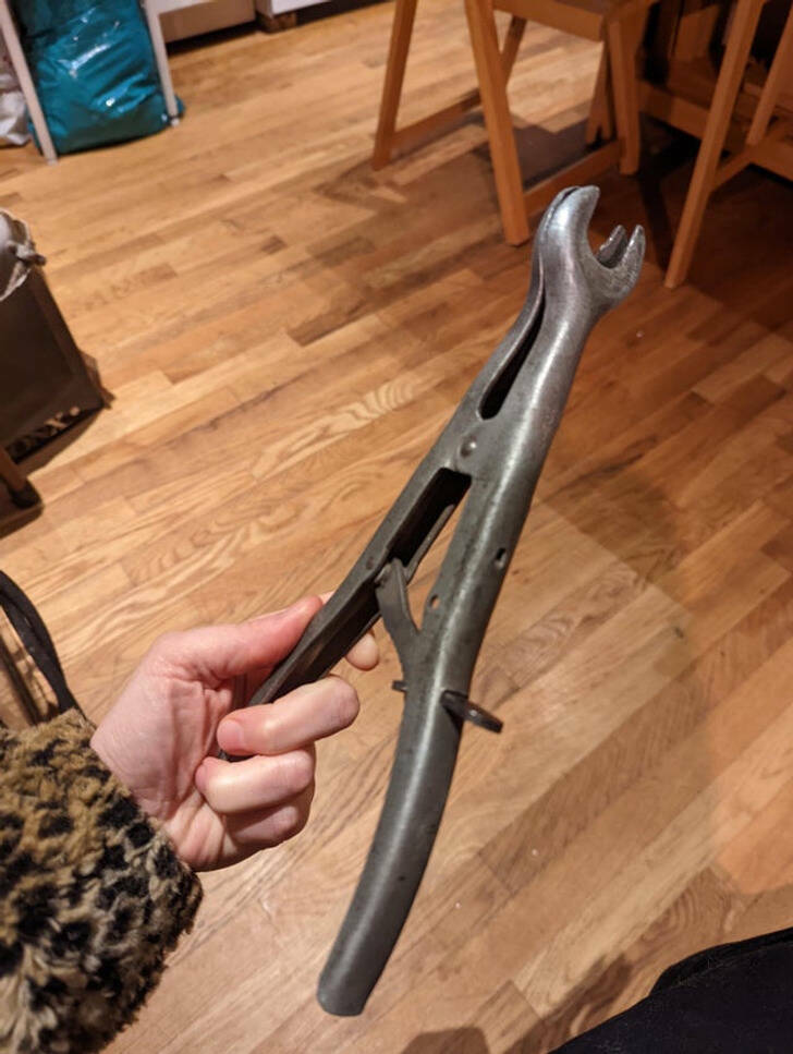What Is That Thing?!
