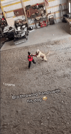 Daily Gifdump