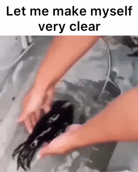 Daily Gifdump