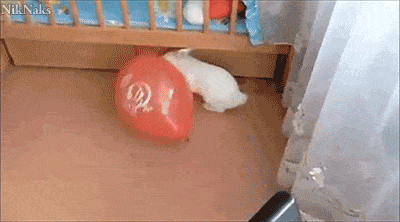 Morning Gifdump Morning Gifdump