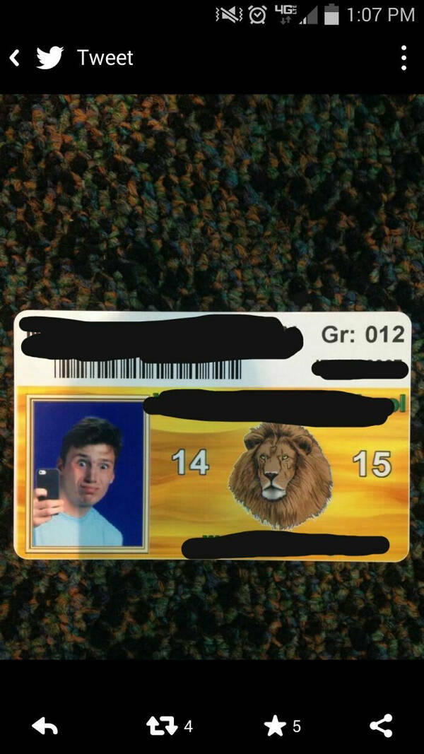 What Are These ID Photos?!