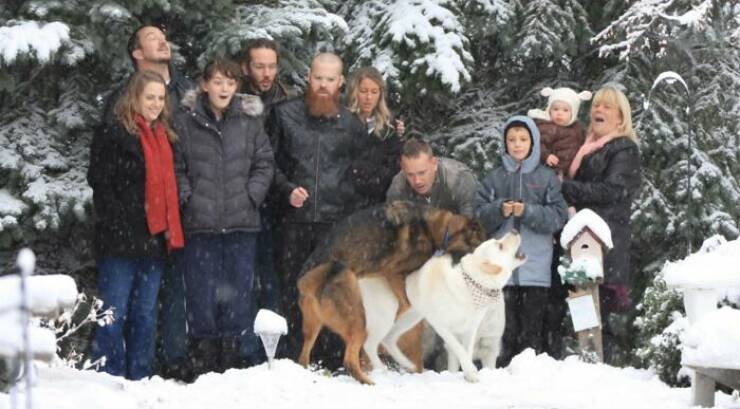 Family Christmas Photos Are Always Somewhat Awkward…