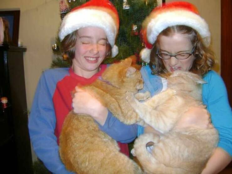 Family Christmas Photos Are Always Somewhat Awkward…