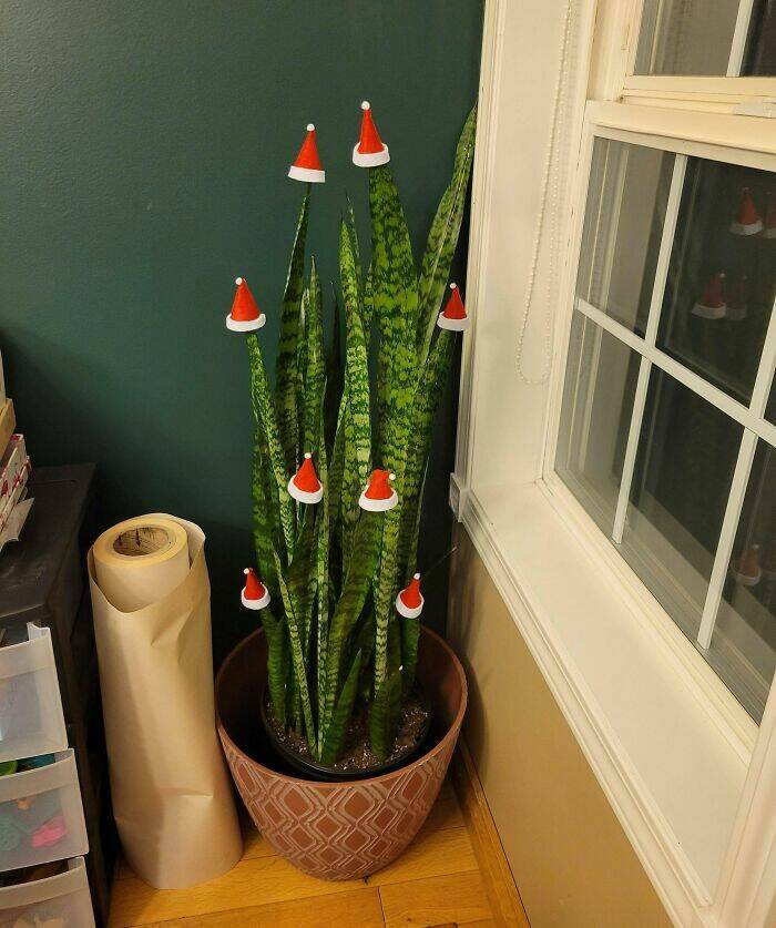 Because Normal Christmas Trees Are Boring!