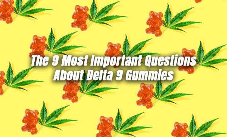 The 9 Most Important Questions About Delta 9 Gummies