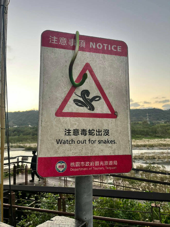 These Are Some Weird Signs…