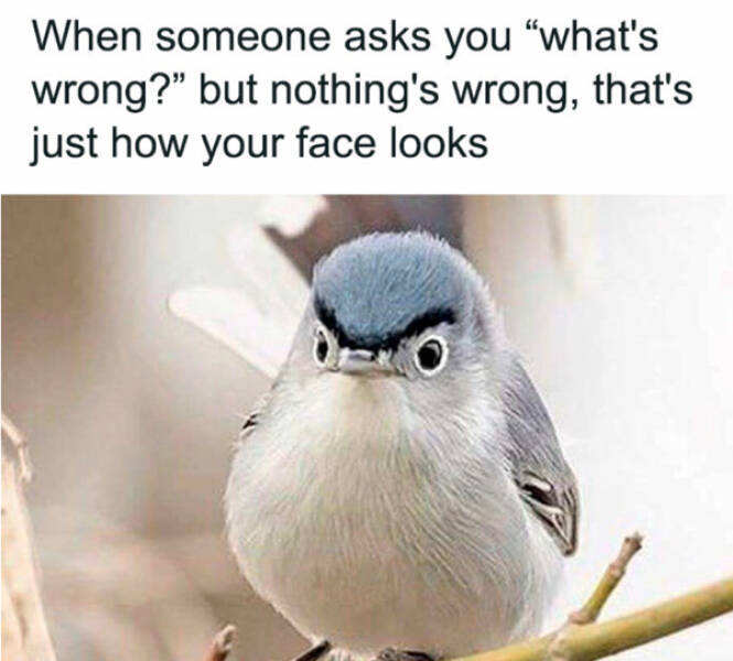 You Dont Have To Share These Antisocial Memes With Anyone