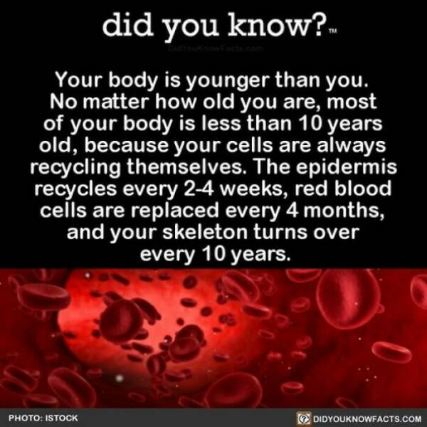 Did You Know That…