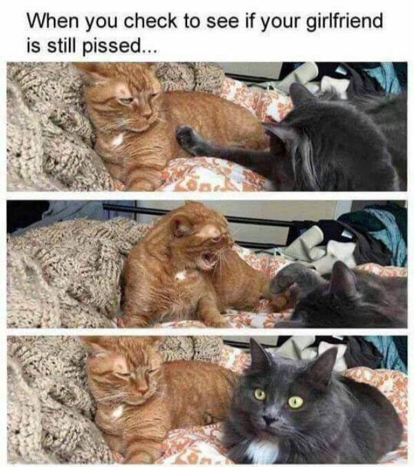 Are You Ready To Move In With These Relationship Memes?