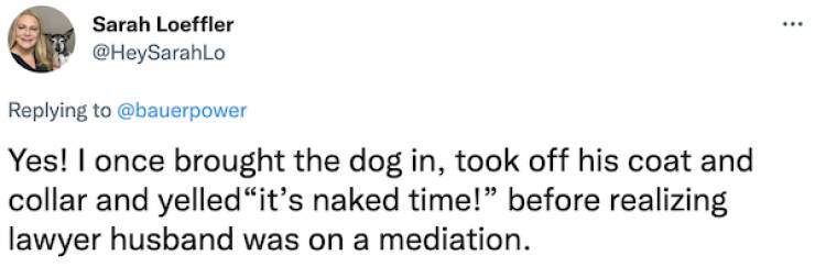 Working From Home Can Be Very Embarrassing…