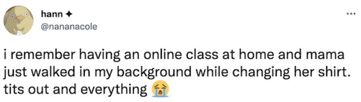 Working From Home Can Be Very Embarrassing…