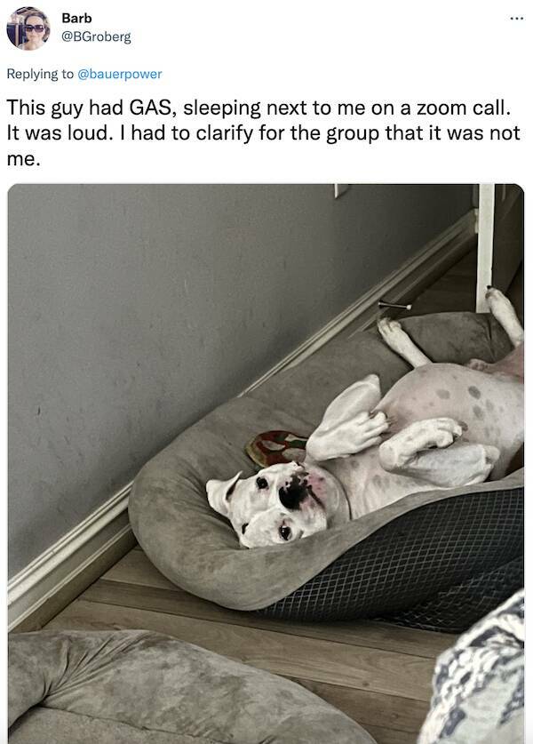 Working From Home Can Be Very Embarrassing…