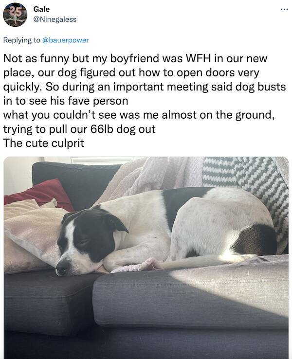 Working From Home Can Be Very Embarrassing…