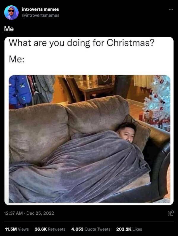 Introverts Will Need These Memes After All The Holiday Gatherings…