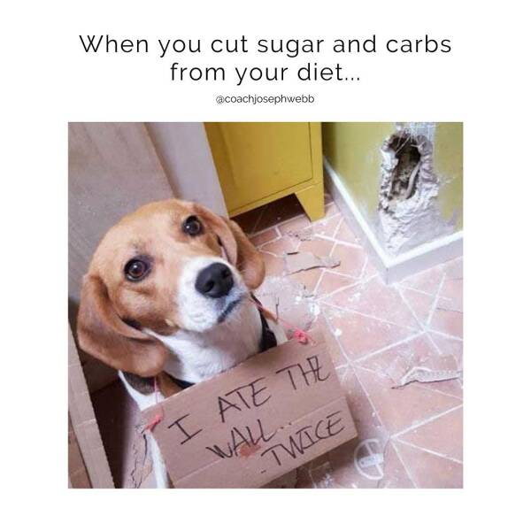 Craving Some Weight Loss Memes?