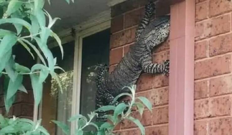 Australia, The Land Of Nope…