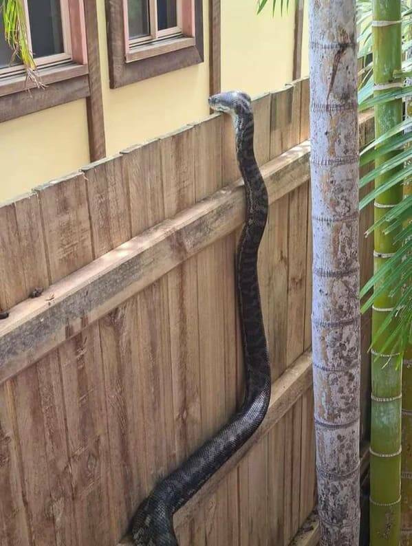 Australia, The Land Of Nope…