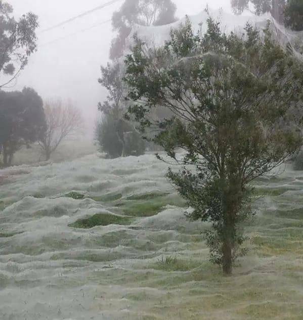 Australia, The Land Of Nope…