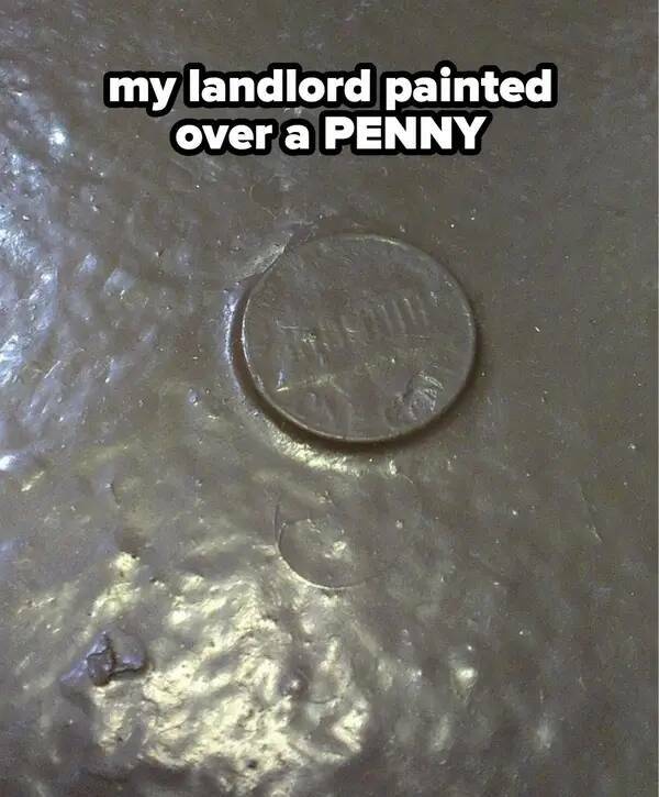 These Landlords Are Not Very Good At Fixing Their Apartments…