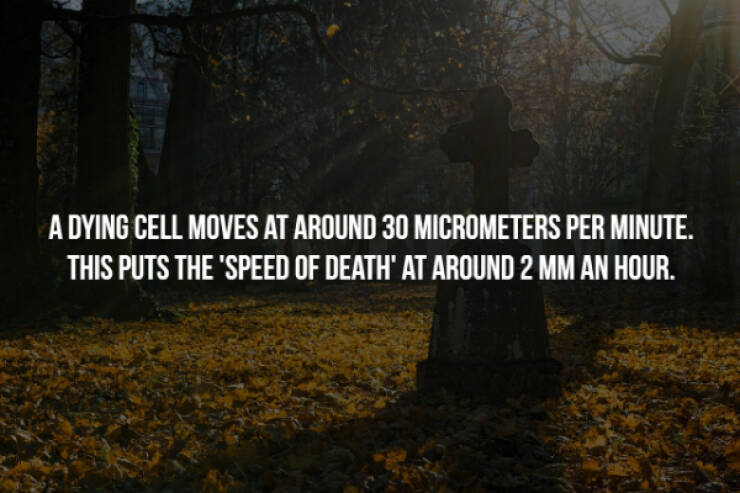 These Creepy Facts Will Haunt You Forever…