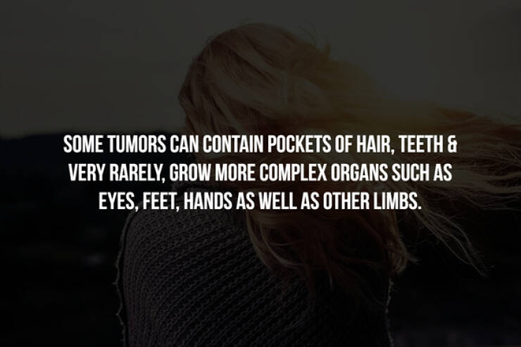 These Creepy Facts Will Haunt You Forever…