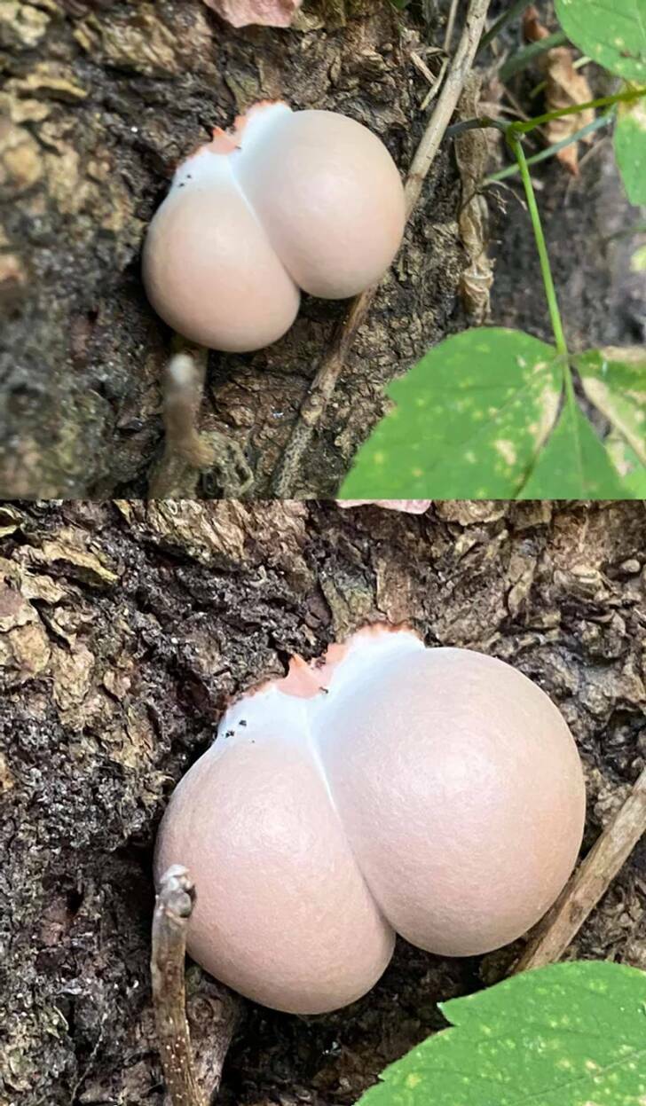 Nature Hits Us With New Surprises