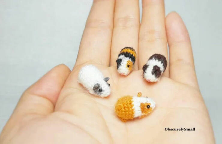 Tiny Treasures: The Cutest Little Things
