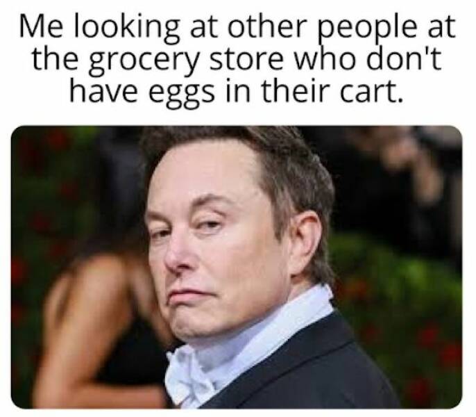 Egg-ceptional Egg Price Memes That Will Crack You Up